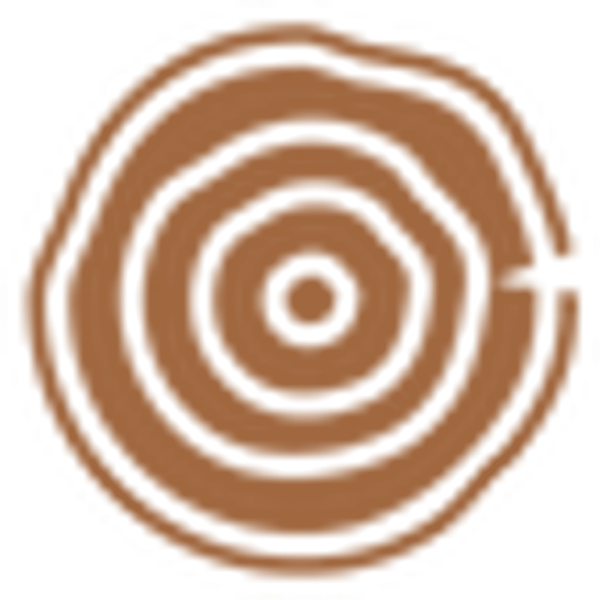 Astronaut in the air